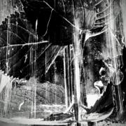 Petra Christ: ohne-chlorophyll