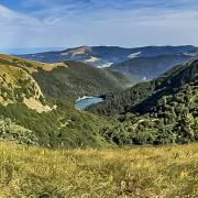 MichauxP:Hohnenck