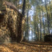 Dusan Minarik :  es wird herbstlich  2