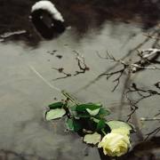 Federica Degay: Ophelia