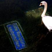 Monika Schäfer: o.T2