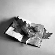 Dusan Minarik:  Stilleben  3