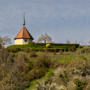 Felix Petrenz: Frühling an der Ölbergkapelle 2
