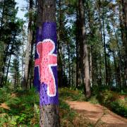 Hans-Werner Bormann: Im Bosque de Oma (Nordspanien) II