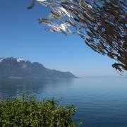 T. Muschalla: Montreux