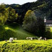 PascalM-St-Truppert