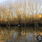 Renate-Warnecke_Taubergiessen-2