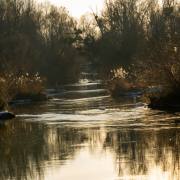 Renate-Warnecke_Taubergiessen-4