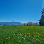 Ulrike-Brunnmueller-Bergfruehling