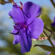 Christoph Klitsch-Ott: Botanischer Garten Basel5