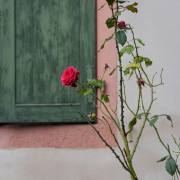 Rainer Hoffmann: Riegel am Kaiserstuhl 4