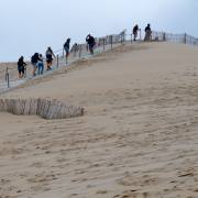 Hans-Werner Bormann: Südwestfrankreich, Dune du Pilat II