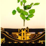 Stefan Scheurer: Emoji einer Schreibmaschine