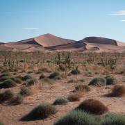 Peter Stäheli: Erk-Chegaga, Marokko-6