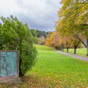 Felix-Petrenz: Herbst-im-Dreisamtal-1