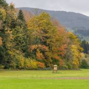 Felix-Petrenz: Herbst-im-Dreisamtal-2