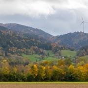 Felix-Petrenz: Herbst-im-Dreisamtal-3