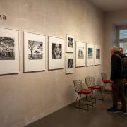 Michael Christ Leica Gallerie Konstanz