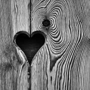 Armin Burger Halloween