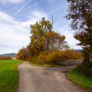 PetraChrist: Weggabelung bei Kirchzarten