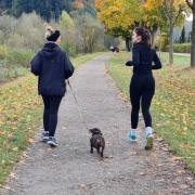 Ulrike Brunnmüller_Hund muss mit