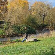 Ulrike Brunnmüller_Sonntagsmeditation