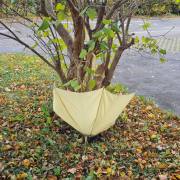 Ulrike Brunnmüller_Ups verweht