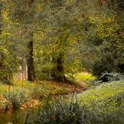 Petra Christ: Herbst in Weingarten