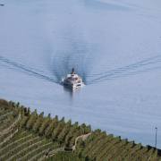 T. Muschalla: Am-Genfer-See-3