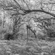 Felix Petrenz: Grauwerte 3