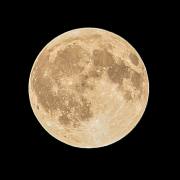 Wulbrand Jahnke: Mondfinsternis 7.9.2025