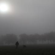 T. Muschalla: Herbst-1