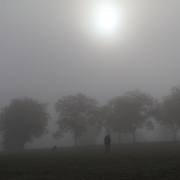 T. Muschalla: Herbst-2