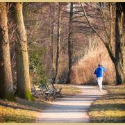 Michael Christ: Herbst halt!