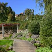 M0nika Schäfer: Jap.Garten Bonndorf 2