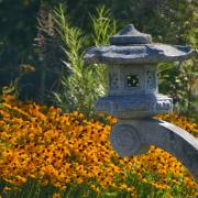 Monika Schäfer: Jap.Garten Bonndorf 4