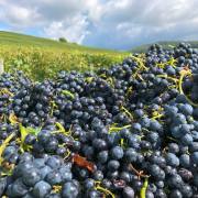 T. Muschalla: Herbsten