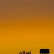 Stefan Kredler:  Nine Minutes Of Dusk 01