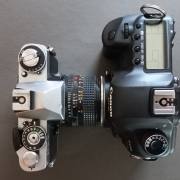 Sumy Sands: We belong together