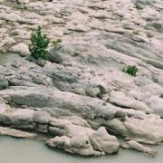 Federica Degay: Niedrigwasser
