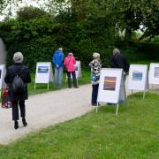 Hans-Werner: Die Qual der Wahl: Für jede Münsingen-Location ein Plakat! Hans-Werner: Die Qual der Wahl: Für jede Münsingen-Location ein Plakat!