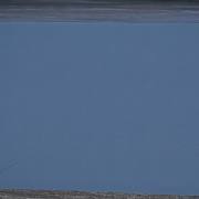 Montier: lac en Der - le pêcheur solitaire- der einsame Angler