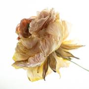 durch-die-Blume-03
