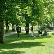 Achim Seidenberger: Picknick im Park
