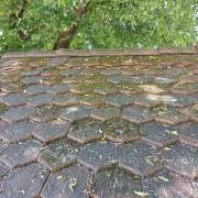 Klaus Heinrichs: Dach und Baum