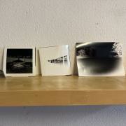 Ein Teil der Ausbeute