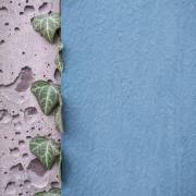 Dietmar-Pommer-Konrad-Guenther-Park