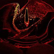 Rainer-Hoffmann-Kerze