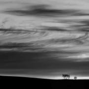 Helmut-Koerner-Three-trees-and-one