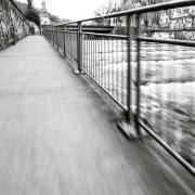 Camera Movement, Translativ